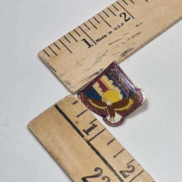 Vtg Skagway Alaska State Travel Gold Tone Enamel Resin Pinv AK - Picture 2 of 3
